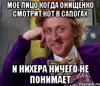 Мое лицо когда Онищенко смотрит кот в сапогах И нихера ничего не понимает, Мем мое лицо