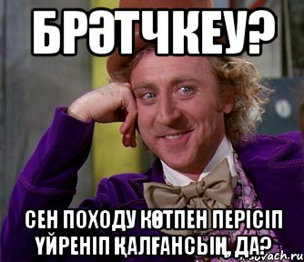 брәтчкеу? Сен Походу көтпен перісіп үйреніп қалғансың, да?, Мем мое лицо