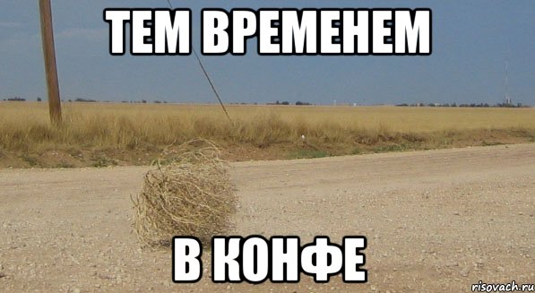 Тем временем в конфе, Мем перекати-поле одиночество