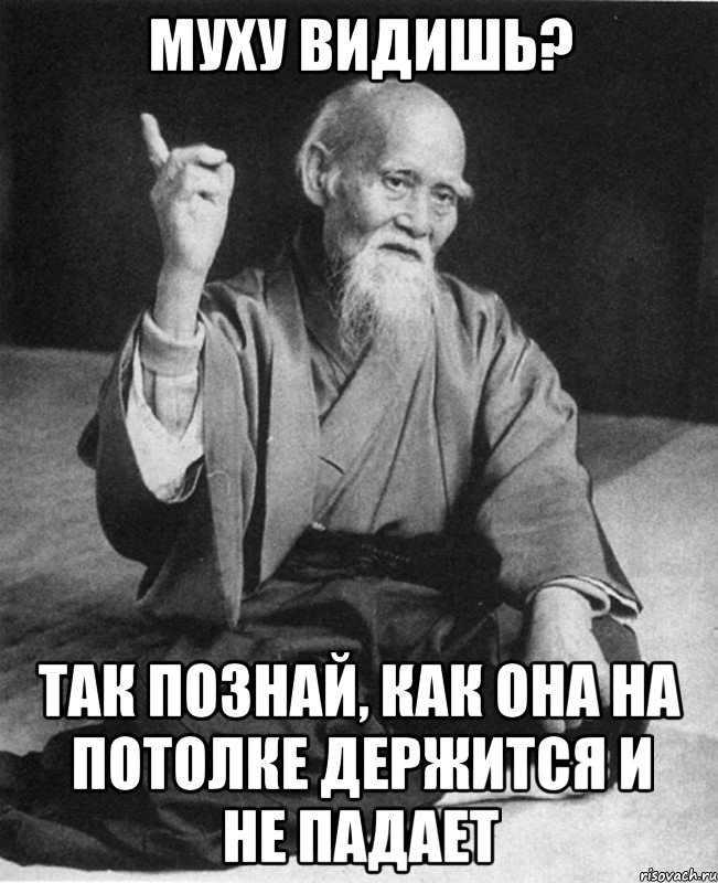 МУХУ ВИДИШЬ? ТАК ПОЗНАЙ, КАК ОНА НА ПОТОЛКЕ ДЕРЖИТСЯ И НЕ ПАДАЕТ, Мем Монах-мудрец (сэнсей)