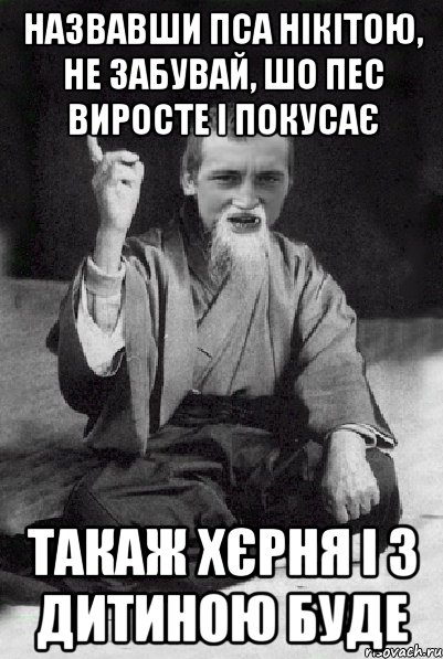 Назвавши пса Нікітою, не забувай, шо пес виросте і покусає такаж хєрня і з дитиною буде, Мем Мудрий паца