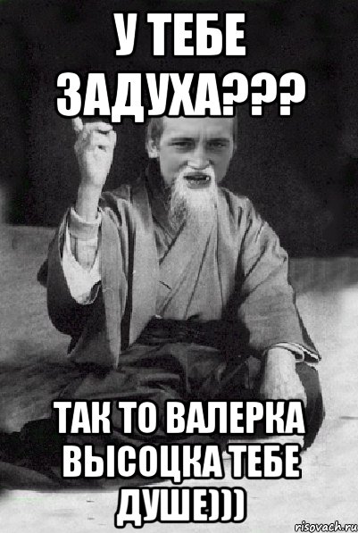 у тебе задуха??? так то Валерка Высоцка тебе душе))), Мем Мудрий паца