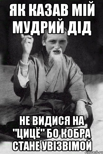 як казав мій мудрий Дід не видися на "цицё" бо кобра стане увізвімой, Мем Мудрий паца