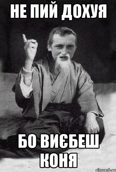 НЕ ПИЙ ДОХУЯ БО ВИЄБЕШ КОНЯ, Мем Мудрий паца