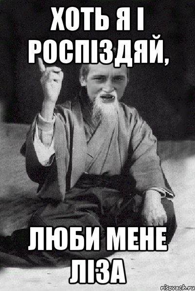 хоть я і роспіздяй, люби мене ліза, Мем Мудрий паца