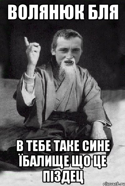 Волянюк бля В тебе таке сине їбалище що це піздец, Мем Мудрий паца