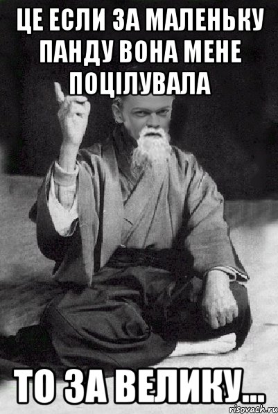 Це если за маленьку панду вона мене поцілувала То за велику..., Мем Мудрий Виталька