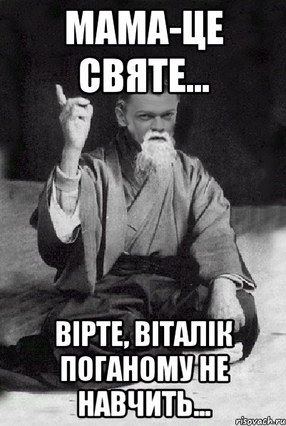 МАМА-ЦЕ СВЯТЕ... ВІРТЕ, ВІТАЛІК ПОГАНОМУ НЕ НАВЧИТЬ..., Мем Мудрий Виталька