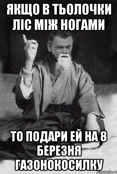 Якщо в тьолочки ліс між ногами То подари ей на 8 березня Газонокосилку