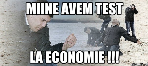 MIINE AVEM TEST LA ECONOMIE !!!, Мем Мужик сыпет песок на пляже