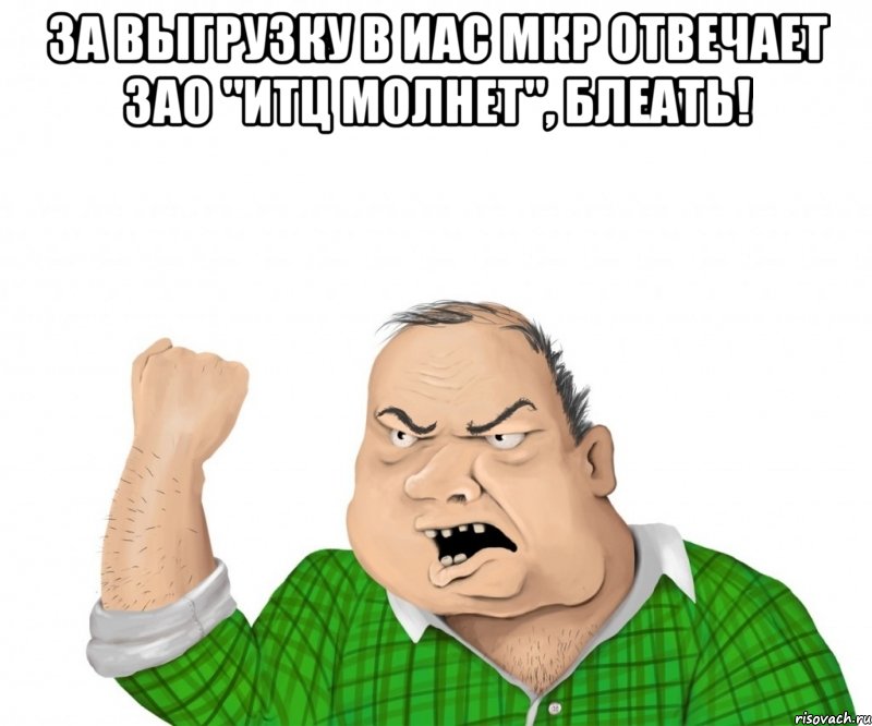 За выгрузку в ИАС МКР отвечает ЗАО "ИТЦ Молнет", блеать! , Мем мужик
