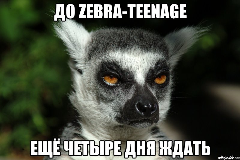 До Zebra-TeenAge ещё четыре дня ждать, Мем   Я збагоен