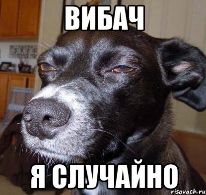 вибач я случайно