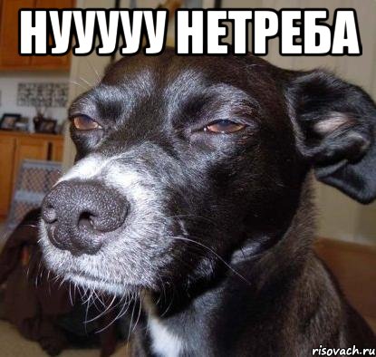 нууууу нетреба 