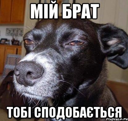 мій брат тобі сподобається
