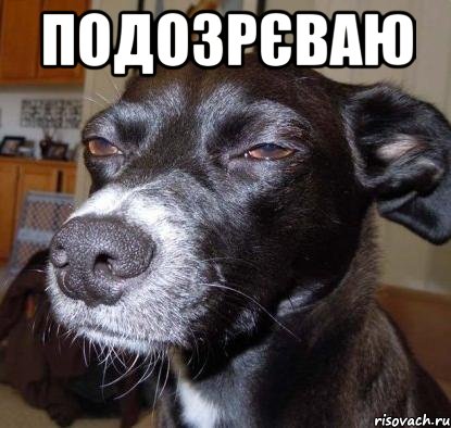 подозрєваю 