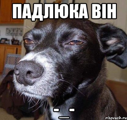 падлюка він -_-