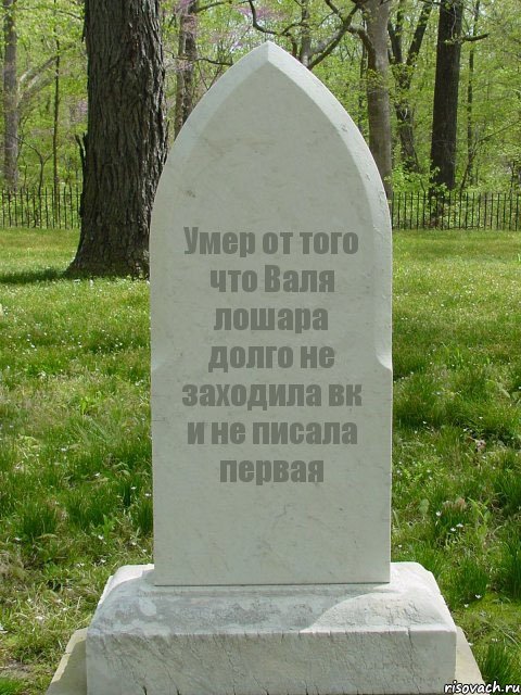 Умер от того что Валя лошара долго не заходила вк и не писала первая, Комикс  Надгробие