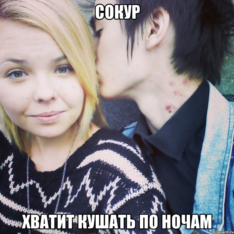 сокур хватит кушать по ночам