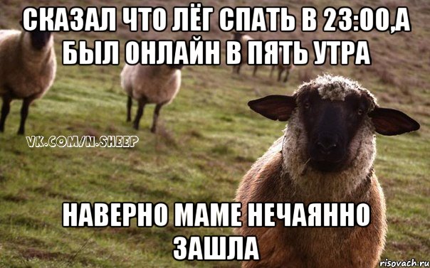 Сказал что лёг спать в 23:00,а был онлайн в пять утра наверно маме нечаянно зашла, Мем  Наивная Овца