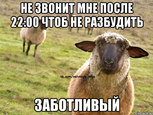 не звонит мне после 22:00 чтоб не разбудить заботливый, Мем  Наивная Овца