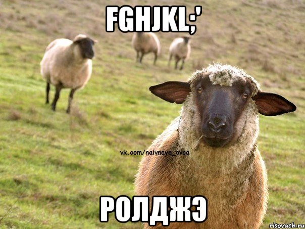 fghjkl;' ролджэ, Мем  Наивная Овца