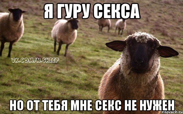 Я гуру секса Но от тебя мне секс не нужен