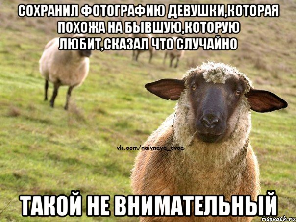 Сохранил фотографию девушки,которая похожа на бывшую,которую любит,сказал что случайно Такой не внимательный, Мем  Наивная Овца