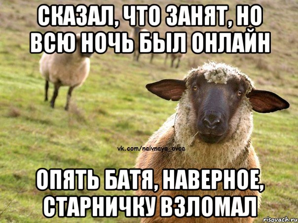 сказал, что занят, но всю ночь был онлайн опять батя, наверное, старничку взломал, Мем  Наивная Овца