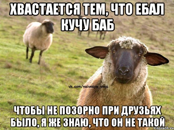 Хвастается тем, что ебал кучу баб Чтобы не позорно при друзьях было, я же знаю, что он не такой, Мем  Наивная Овца