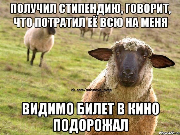 Получил стипендию, говорит, что потратил её всю на меня Видимо билет в кино подорожал, Мем  Наивная Овца