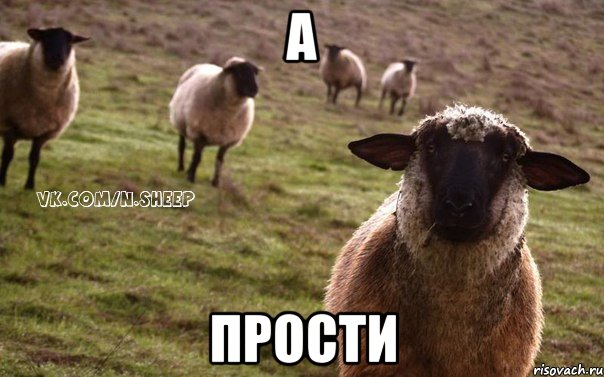 А ПРОСТИ, Мем  Наивная Овца