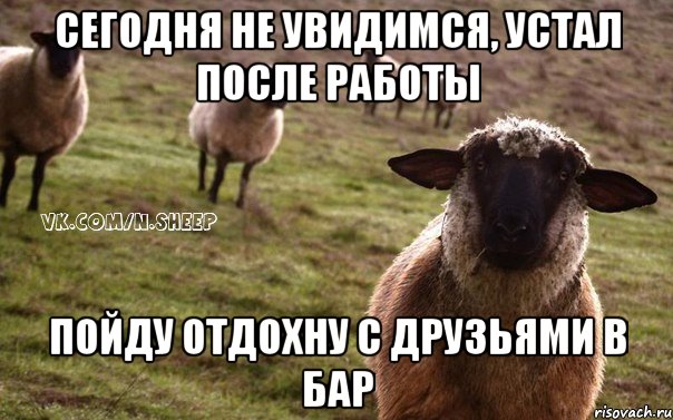 сегодня не увидимся, устал после работы пойду отдохну с друзьями в бар, Мем  Наивная Овца