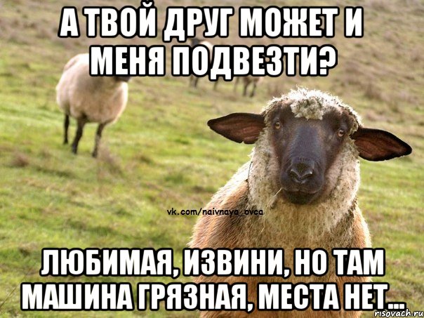 А твой друг может и меня подвезти? Любимая, извини, но там машина грязная, места нет..., Мем  Наивная Овца