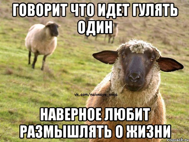 говорит что идет гулять один наверное любит размышлять о жизни, Мем  Наивная Овца