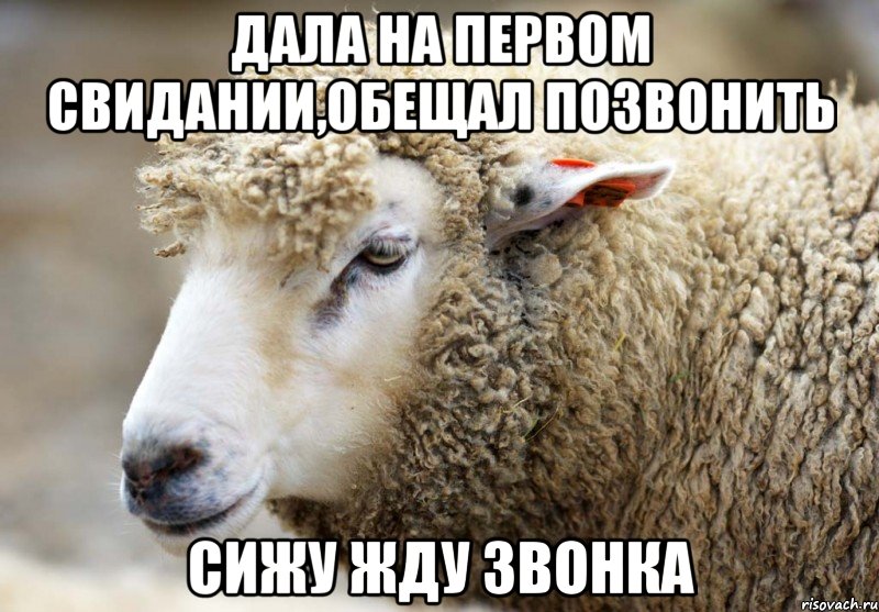 Дала на первом свидании,обещал позвонить Сижу жду звонка