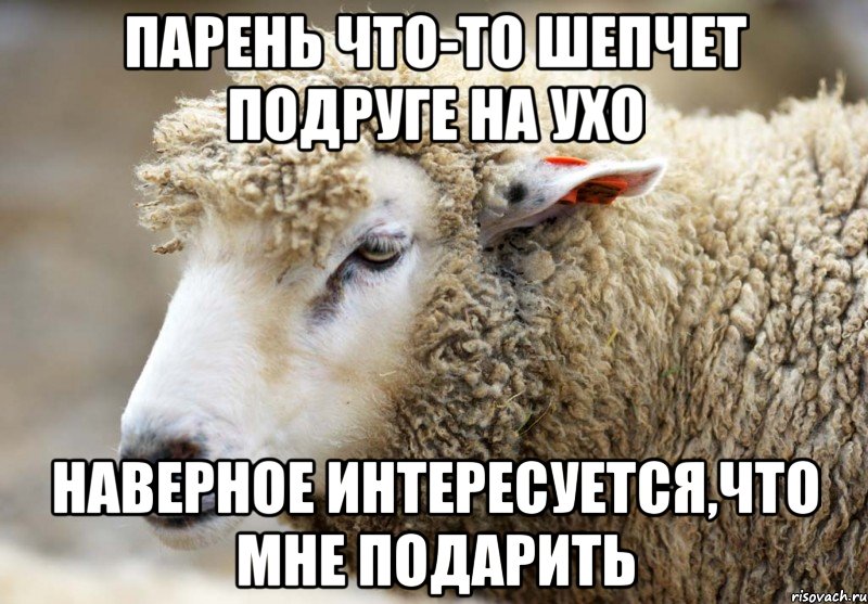 Мем Наивная овца.