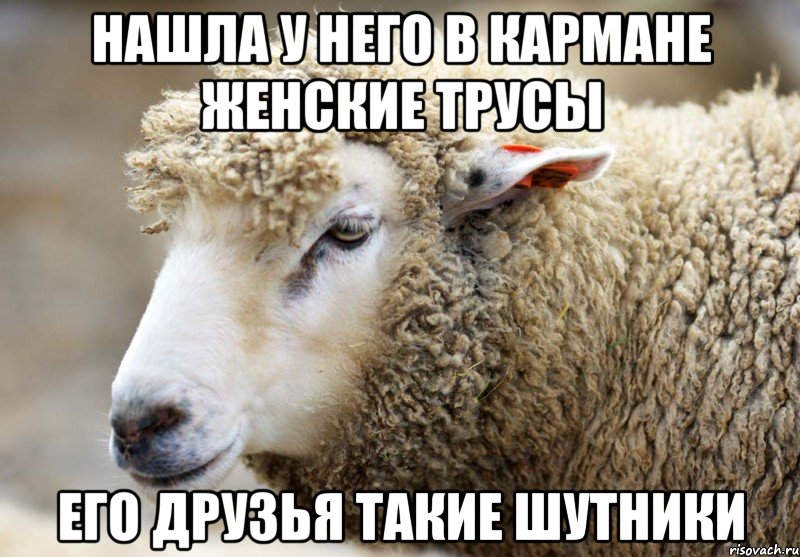 Нашла у него в кармане женские трусы Его друзья такие шутники