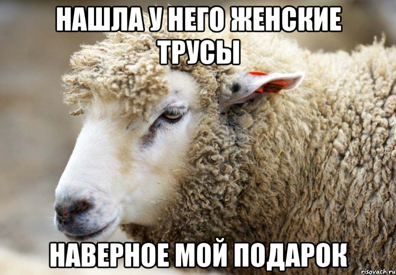 Нашла у него женские трусы Наверное мой подарок