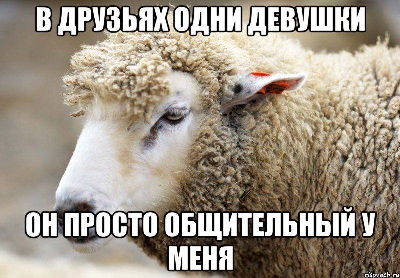 В друзьях одни девушки Он просто общительный у меня