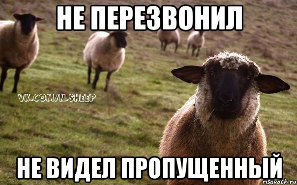 Не перезвонил Не видел пропущенный, Мем  Наивная Овца