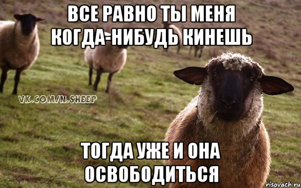 Все равно ты меня когда-нибудь кинешь Тогда уже и она освободиться, Мем  Наивная Овца