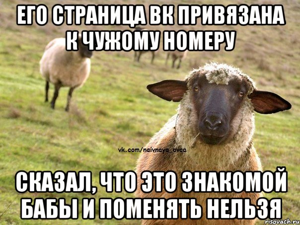 ЕГО СТРАНИЦА ВК ПРИВЯЗАНА К ЧУЖОМУ НОМЕРУ СКАЗАЛ, ЧТО ЭТО ЗНАКОМОЙ БАБЫ И ПОМЕНЯТЬ НЕЛЬЗЯ, Мем  Наивная Овца