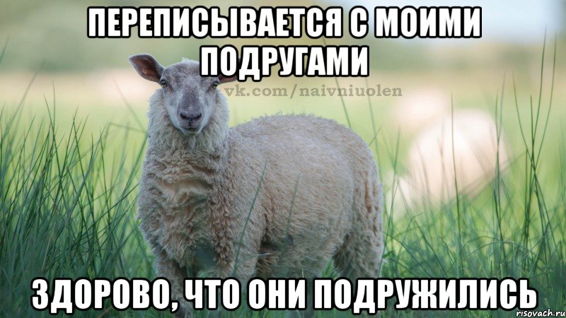 переписывается с моими подругами здорово, что они подружились