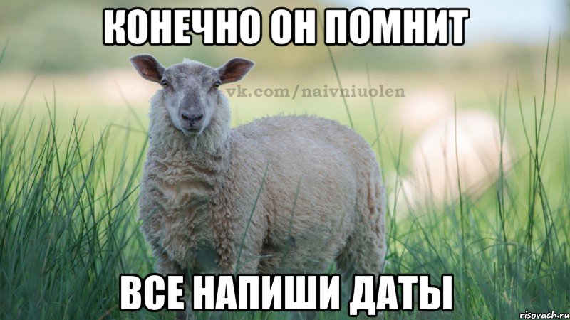 конечно он помнит все напиши даты