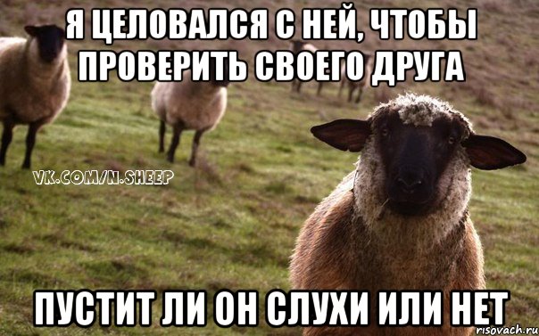 Я целовался с ней, чтобы проверить своего друга пустит ли он слухи или нет, Мем  Наивная Овца