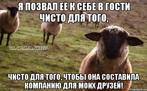 Я позвал ее к себе в гости чисто для того, чисто для того, чтобы она составила компанию для моих друзей!, Мем  Наивная Овца