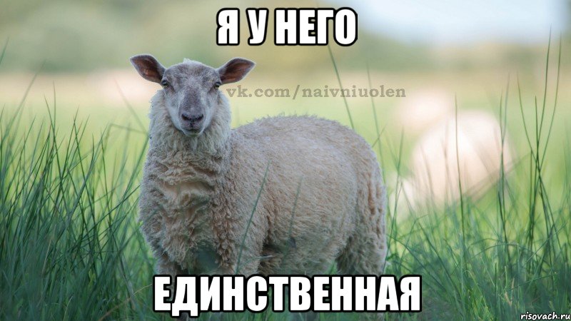 я у него единственная