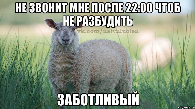 не звонит мне после 22:00 чтоб не разбудить заботливый
