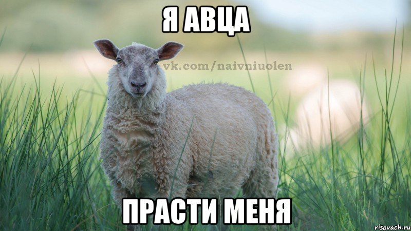 я авца прасти меня